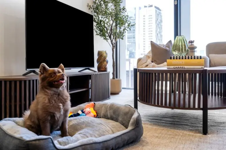 56ed70a0 8761 4e s5SHs